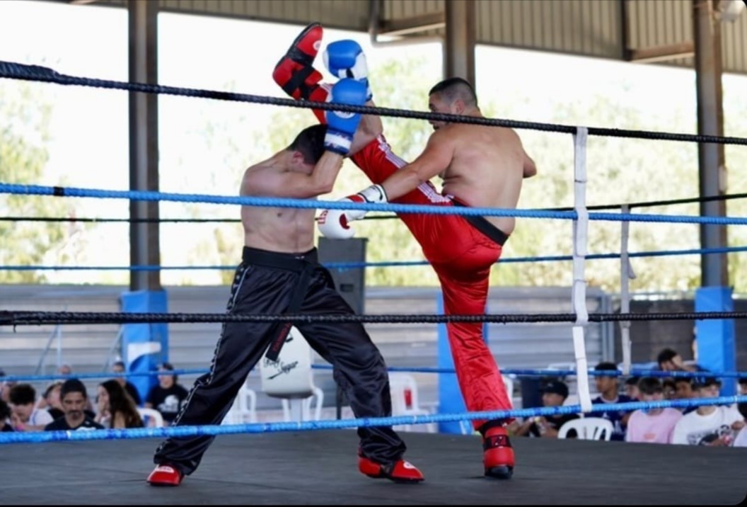Combate en el ring